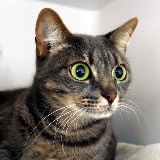 Photo of Milly Sua013092