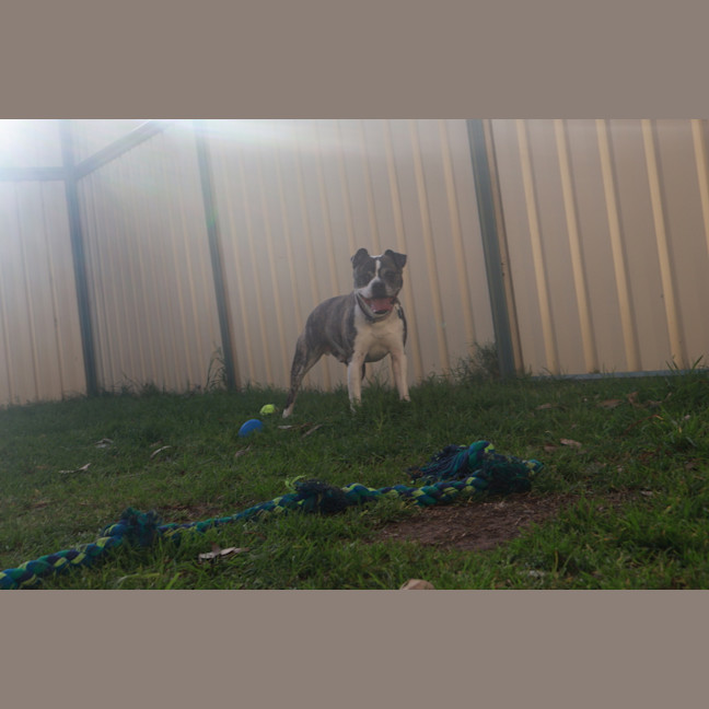 Photo of Bug
