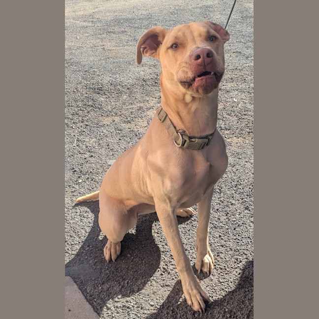 Photo of Lucy