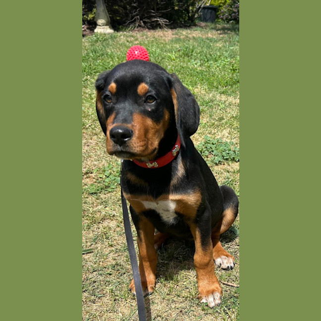 Photo of Magnus