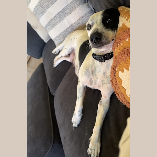 Photo of Minnie