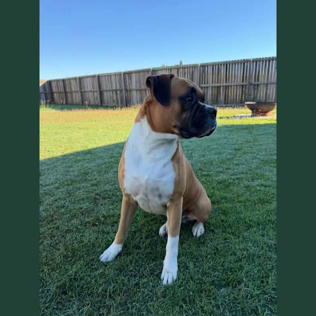 Photo of Ruben