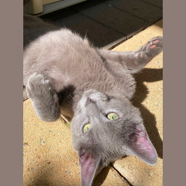 Photo of Glitch