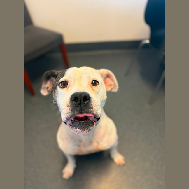 Photo of Betty