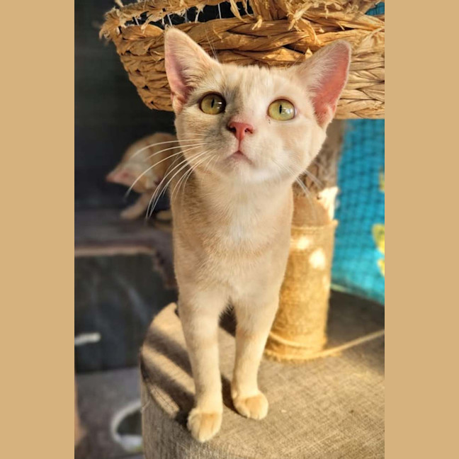 Photo of Flora 🌻