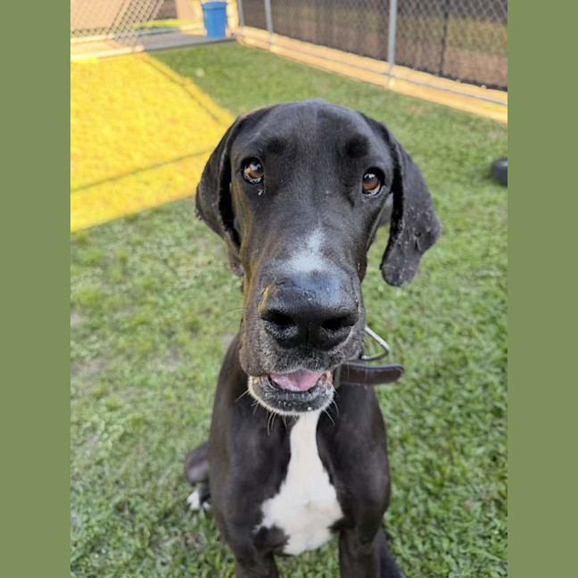Photo of Hershey