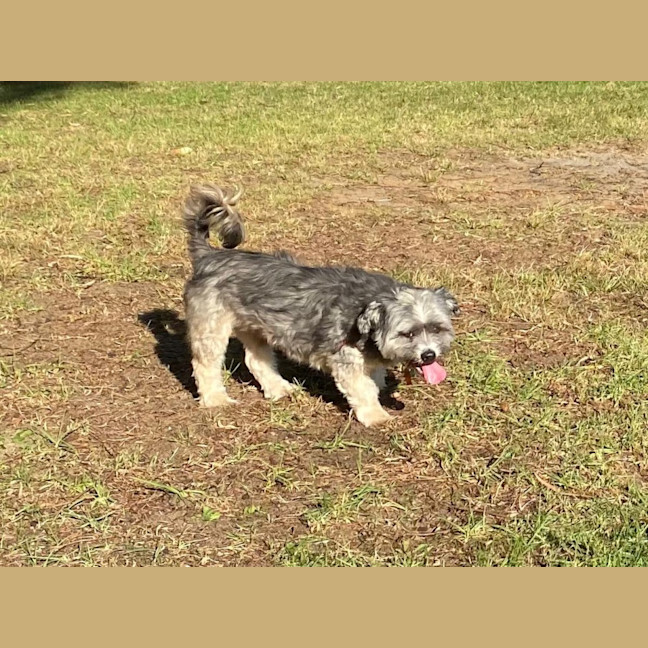 Photo of Belle And Hugo 