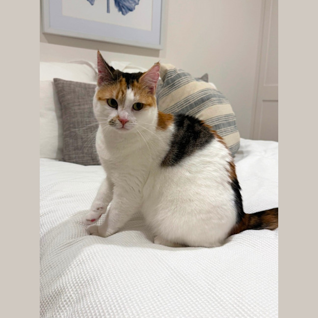 Photo of Brussels And Sprout