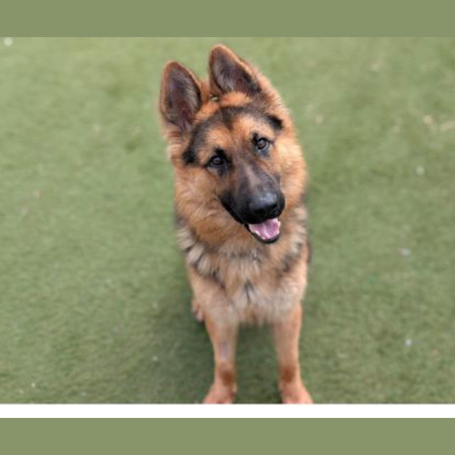 Photo of Atlas