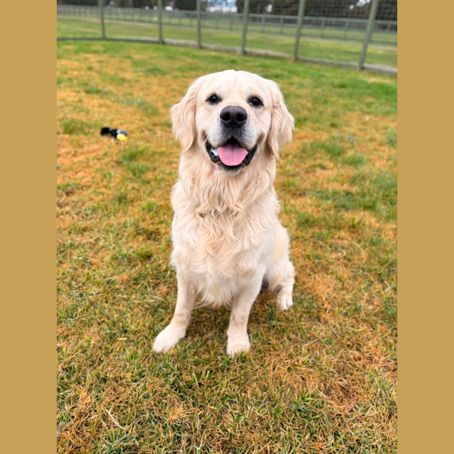 Photo of Cooper