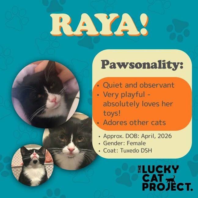 Photo of Raya 