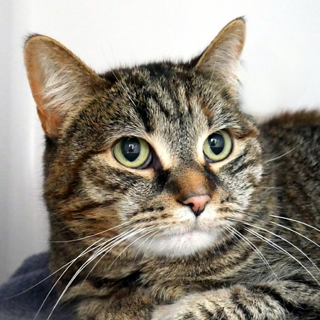 Photo of Hidi Sua014182