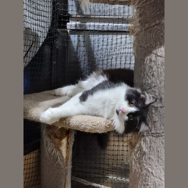 Photo of Penelope