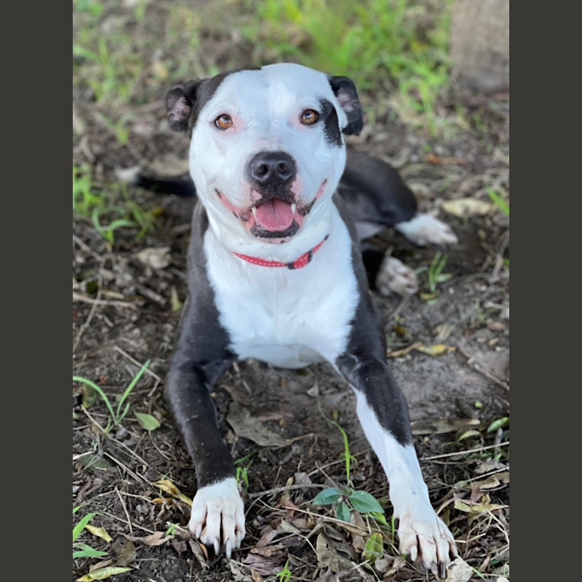 Photo of Bonnie