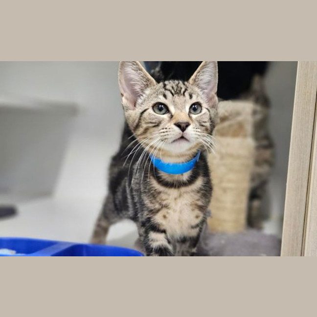 Photo of Louie