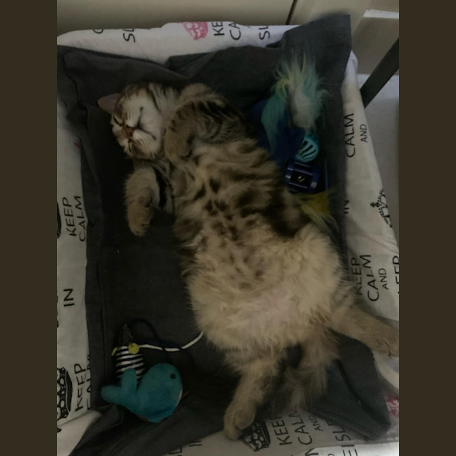 Photo of Marty & Max 