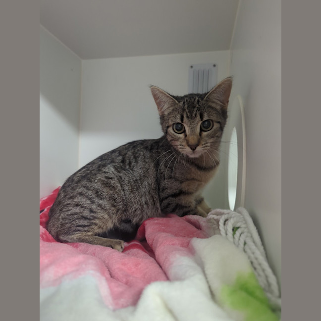 Photo of Little Miss Sunshine