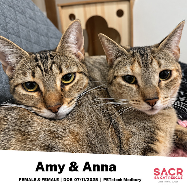 Photo of Anna & Amy
