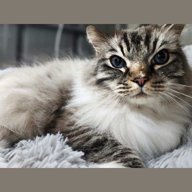 Photo of Maxi & Macey 