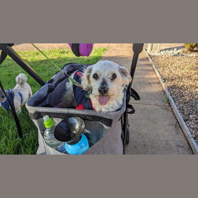 Photo of Simon Babbington