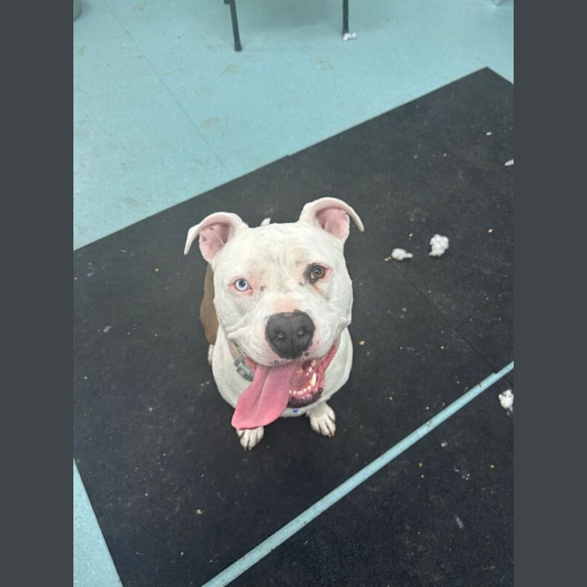 Photo of Lolly