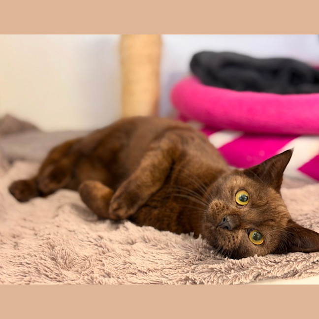 Photo of Hazel