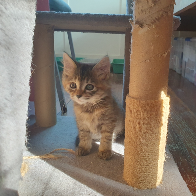 Photo of Missy