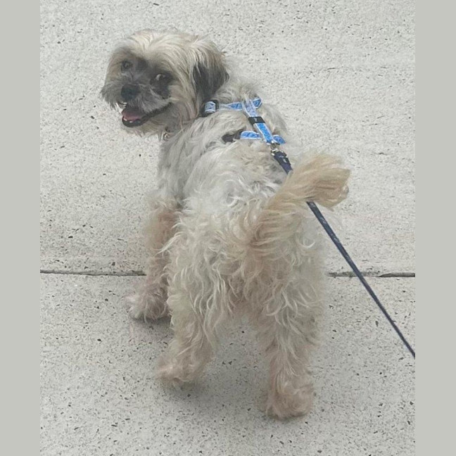 Photo of Gingy Newhaven