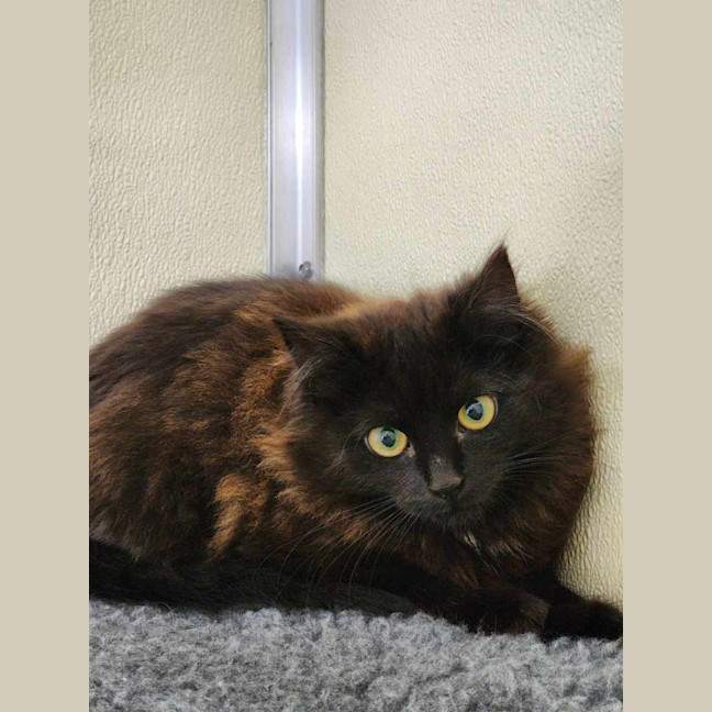 Photo of 🍫 Malteaser 5469 🍫