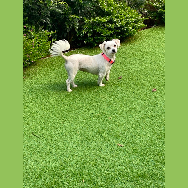 Photo of Little Miss Hunter 