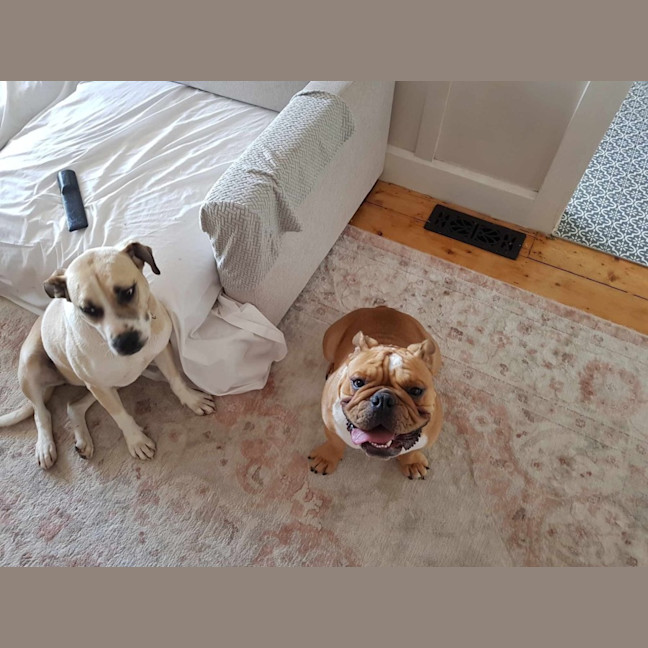 Photo of Hermione Granger