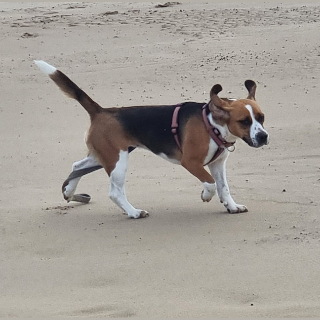 Photo of Betty