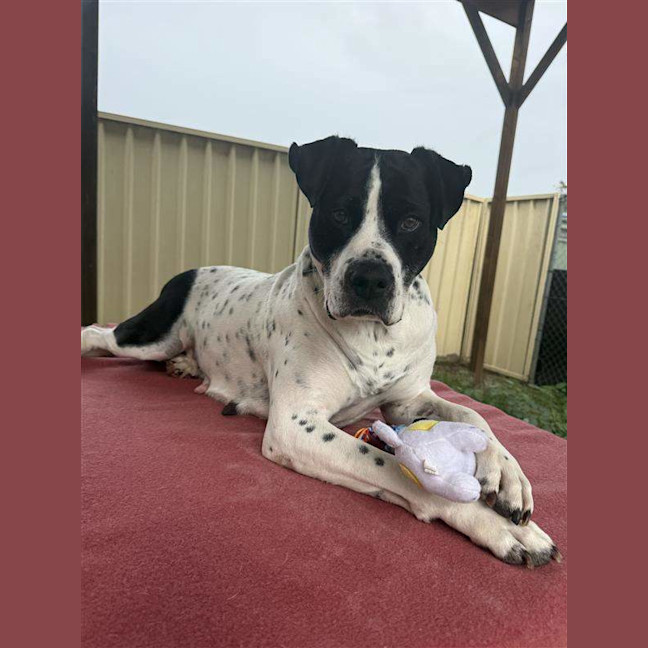 Photo of Penelope