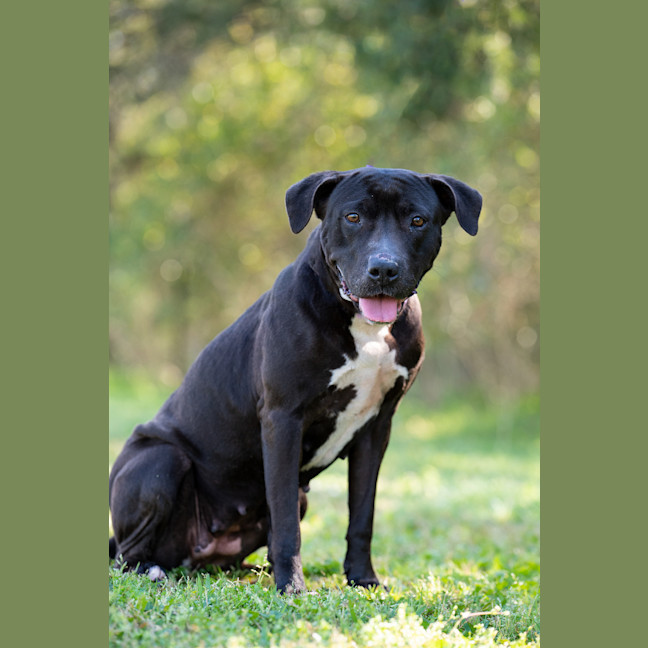 Photo of Roxy
