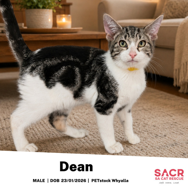 Photo of Dean