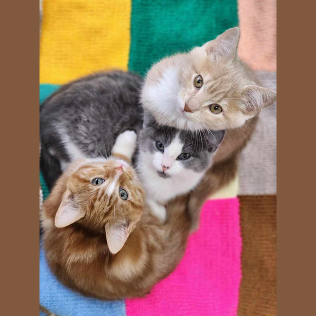 Photo of 👋 Kenneth 6074 👋