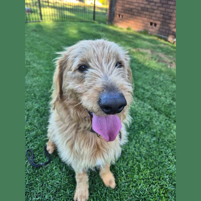 Photo of Charlie