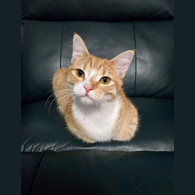 Photo of Lily