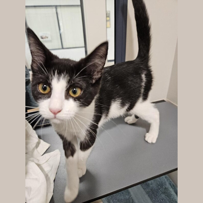 Photo of Twix