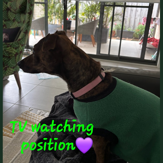Photo of Poppy