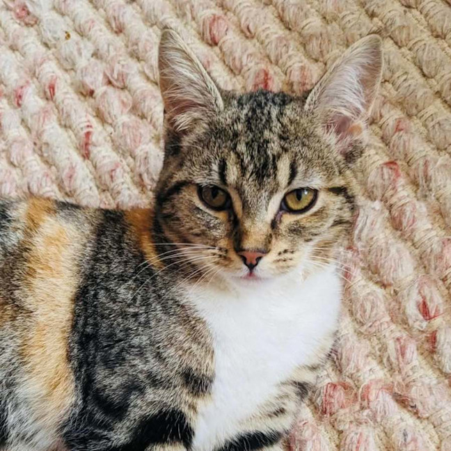 Photo of Worm   In Foster Care In Thornbury