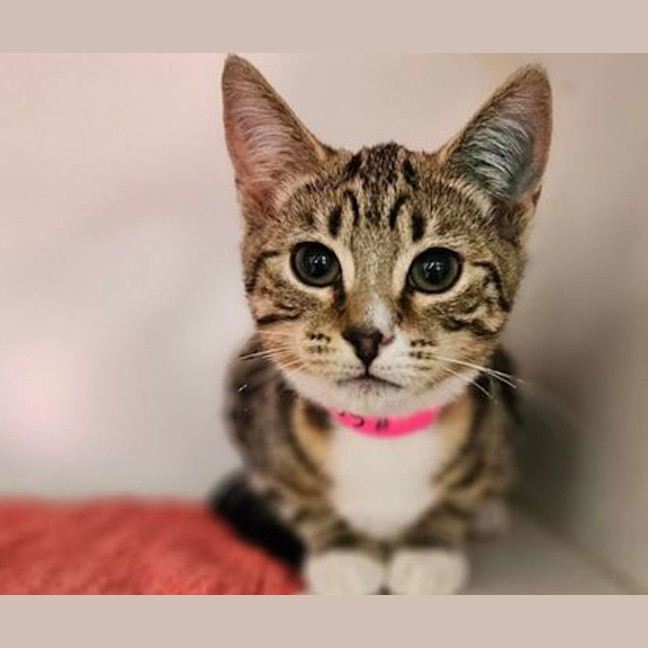 Photo of Molly