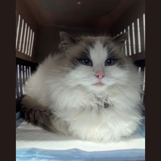 Photo of Nuage