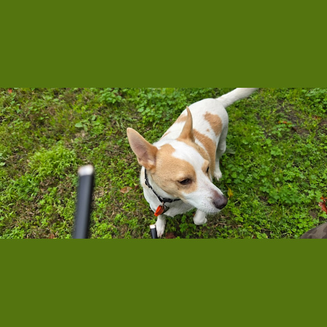 Photo of Charlie
