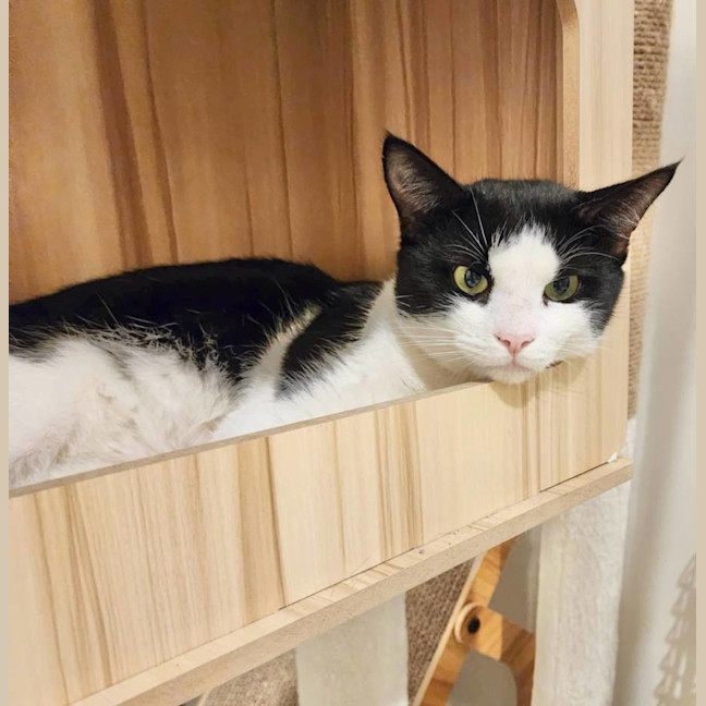 Photo of Oliver