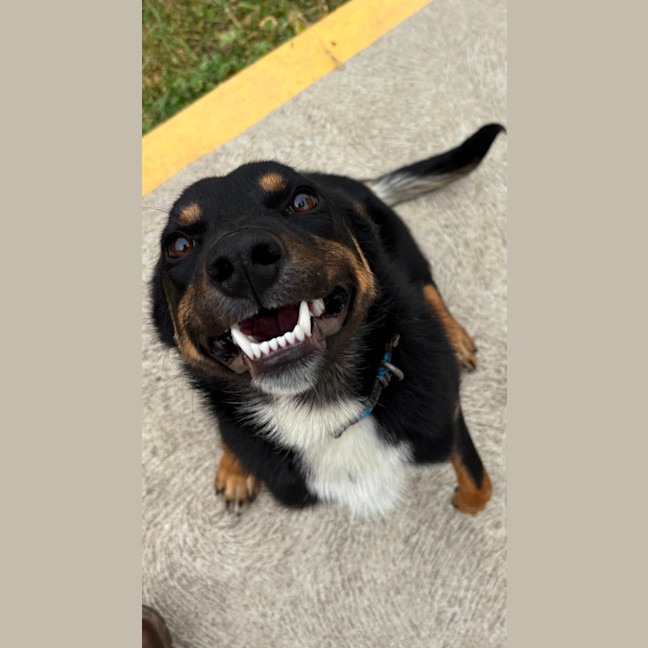 Photo of Goober