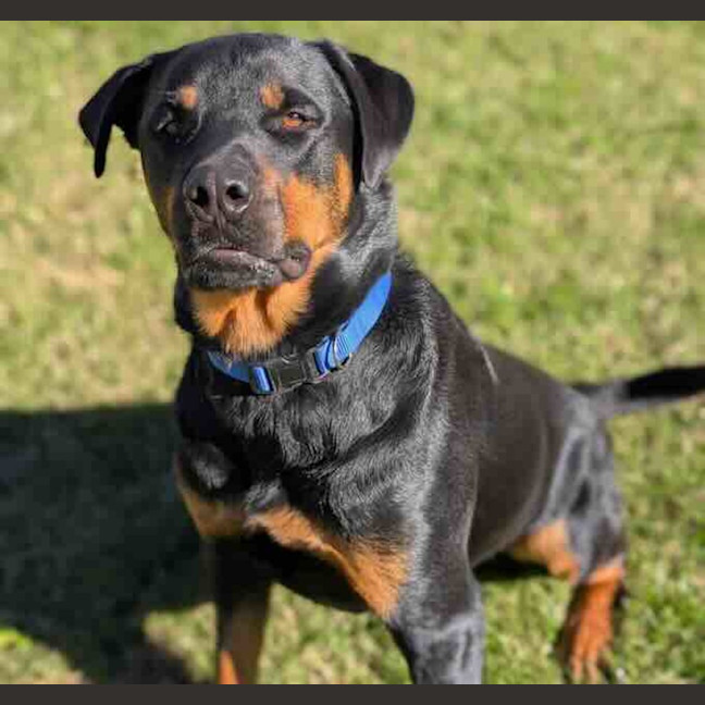 Photo of Max