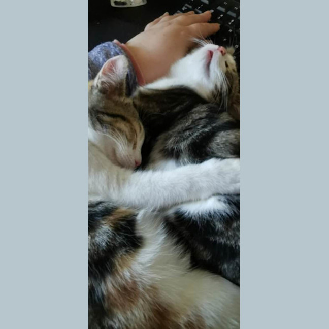 Photo of Apollo And Artemis