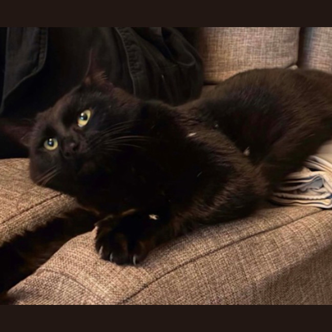 Photo of Toby