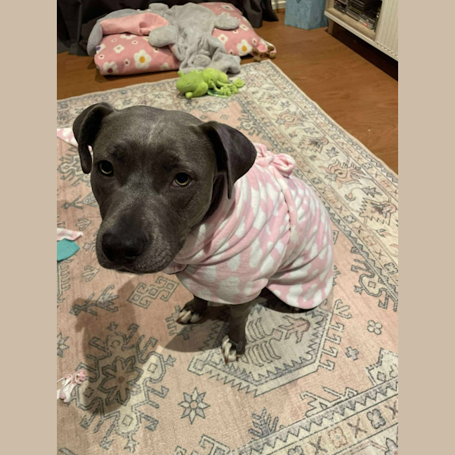 Photo of Bonnie